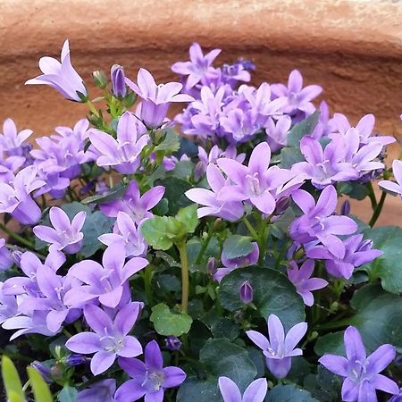 Casa Romero Lliber Pokoj fotografie