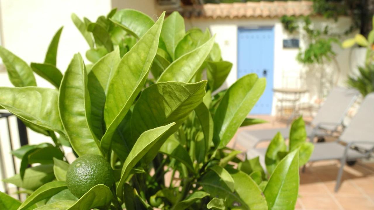 Casa Romero Lliber Exteriér fotografie